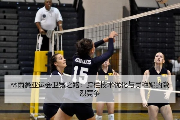 lin-yu-wei-ya-yun-hui-wei-mian-zhi-lu-kua-lan-ji-shu-you-hua-yu-wu-yan-ni-de-ji-lie-jing-zheng-3-825.jpg