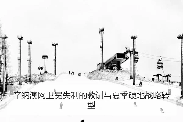 xin-na-ao-wang-wei-mian-shi-li-de-jiao-xun-yu-xia-ji-ying-di-zhan-lve-zhuan-xing-3-753.jpg