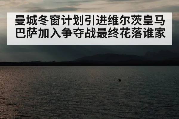 曼城冬窗计划引进维尔茨皇马巴萨加入争夺战最终花落谁家
