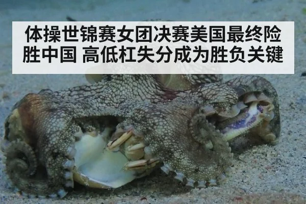 体操世锦赛女团决赛美国最终险胜中国 高低杠失分成为胜负关键