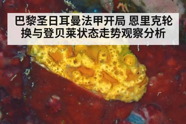 巴黎圣日耳曼法甲开局 恩里克轮换与登贝莱状态走势观察分析